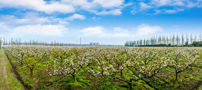 ABUIABAEGAAg1Y6axQYosqOD8gQwoAY45wI