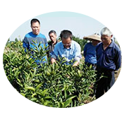 ABUIABAEGAAg7MqVxQYohMCYbTCtATitAQ