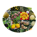 ABUIABAEGAAg7cqVxQYosZGlsAQwnwE4nwE