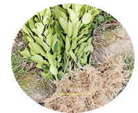 ABUIABAEGAAg7MqVxQYohMCYbTCtATitAQ